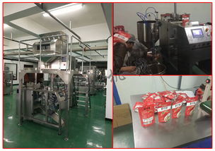 自動化包裝解決方案 調(diào)味品全自動包裝機的優(yōu)勢與市場應(yīng)用